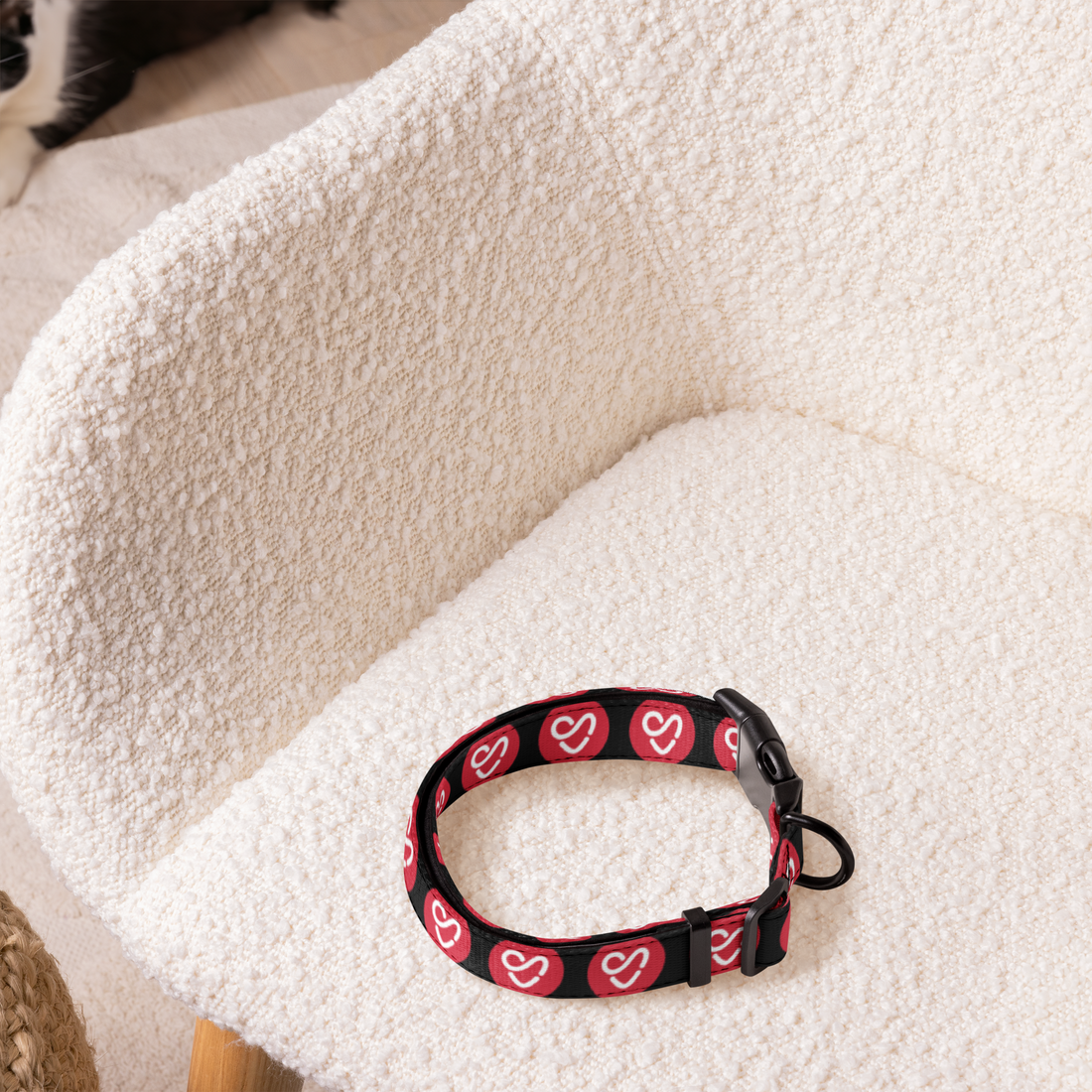 Stagefully Premium Pet Collar